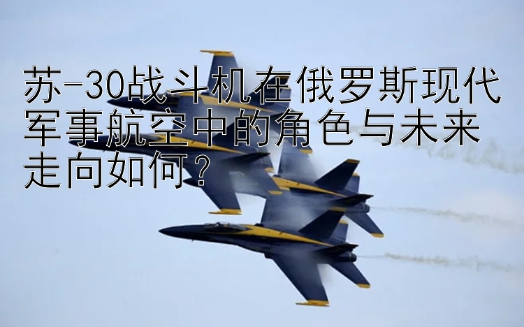 苏-30战斗机在俄罗斯现代军事航空中的角色与未来走向如何？