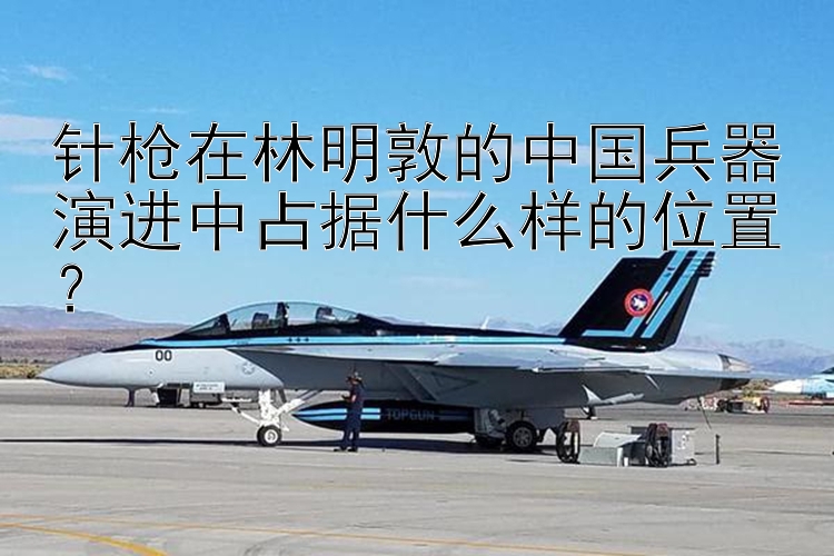 针枪在林明敦的中国兵器演进中占据什么样的位置？