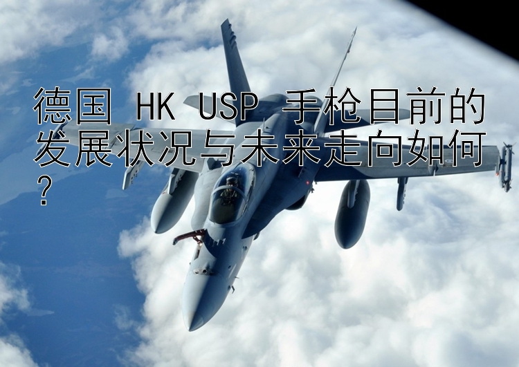 德国 HK USP 手枪目前的发展状况与未来走向如何？