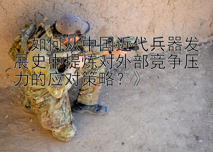 《如何从中国近代兵器发展史中提炼对外部竞争压力的应对策略？》