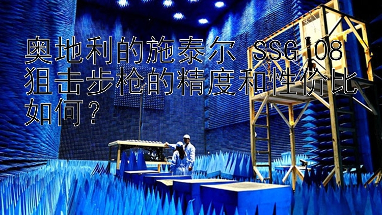 奥地利的施泰尔 SSG 08 狙击步枪的精度和性价比如何？