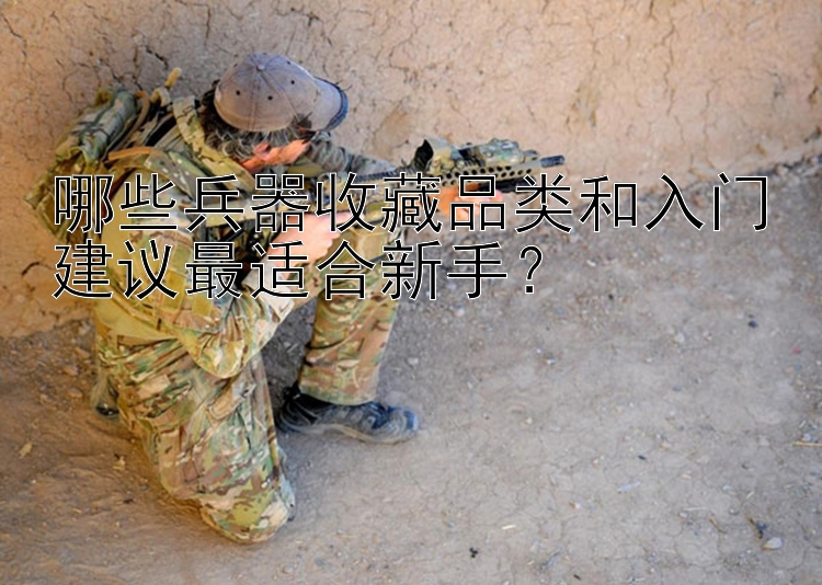 哪些兵器收藏品类和入门建议最适合新手？